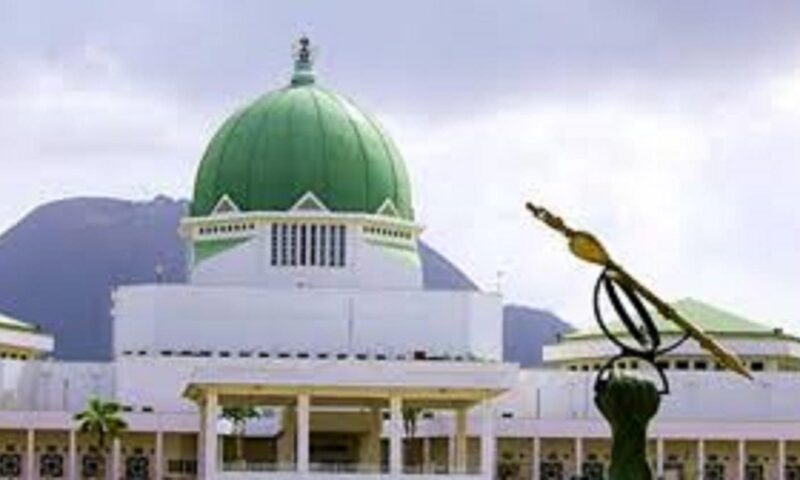 Reps committee to investigate N27bn palliatives for airlines