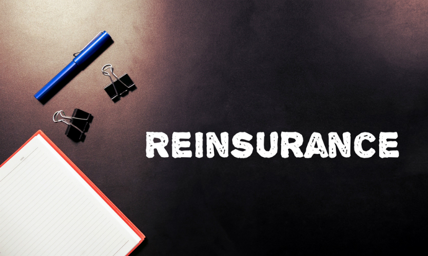 Reinsurance prices to rise at Jan 2022, Fitch