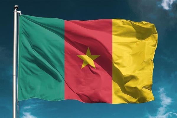 Cameroonian insurance turnover drops by 0.6% in 2020