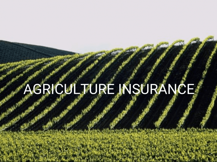 African agriculture insurance set for boom