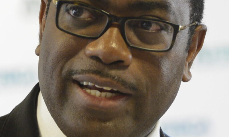 AfDB predicts 4.0% economic recovery for East Africa