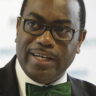 AfDB cautions Fed Govt against tax increase