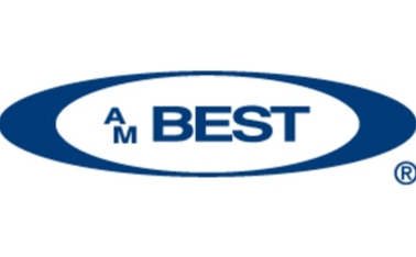 Best’s performance assessment for delegated underwriting authority enterprises- A.M Best