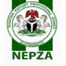 NEPZA spits fire on contractors willful projects’ delays