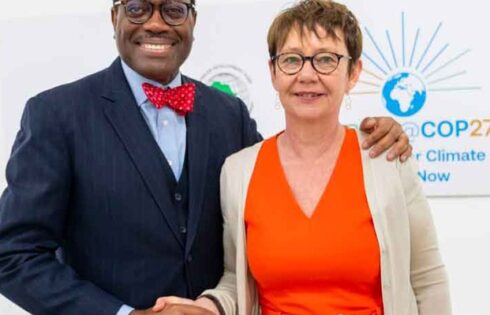 COP 27: AfDB, EBRD partner African businesses become more resilient
