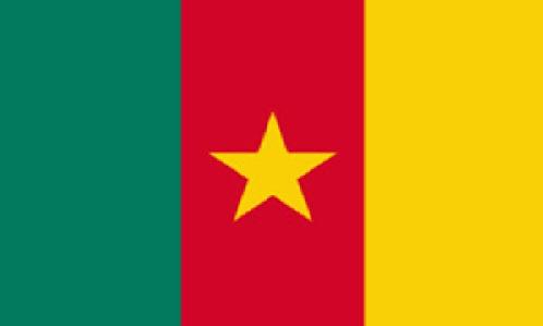 Cameroon Govt finalise plan to establish domestic reinsurer, Cameroon Re